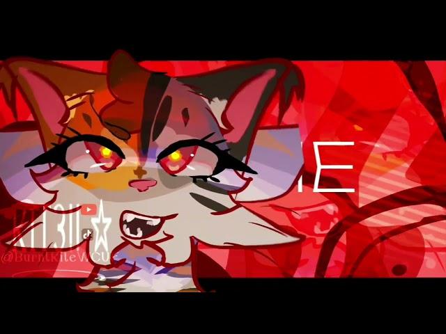 "HIT ME HARD. " | first vid of the year woo hoo!! | K1T3!!  | Tᗯᗴᗴᑎᗴᗪ ᗴᗪIT 