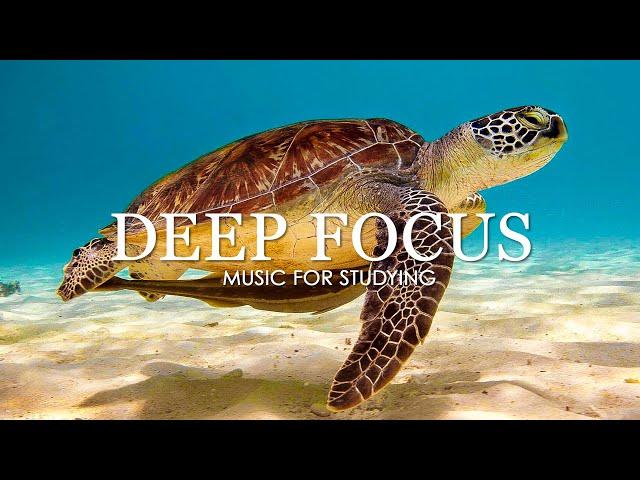 Deep Focus Music To Improve Concentration  - 11 Hours of Ambient Study Music to Concentrate #5