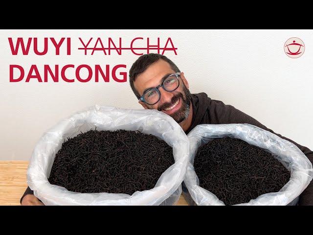 Wuyi-Roasting Dancong