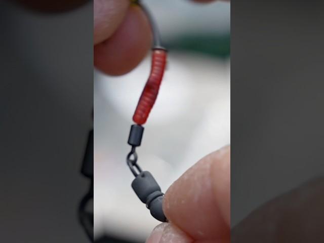 BEST Carp Rigs made EASY! #carpfishing #fishing #onemorecast #ronnierig #hingestiffrig