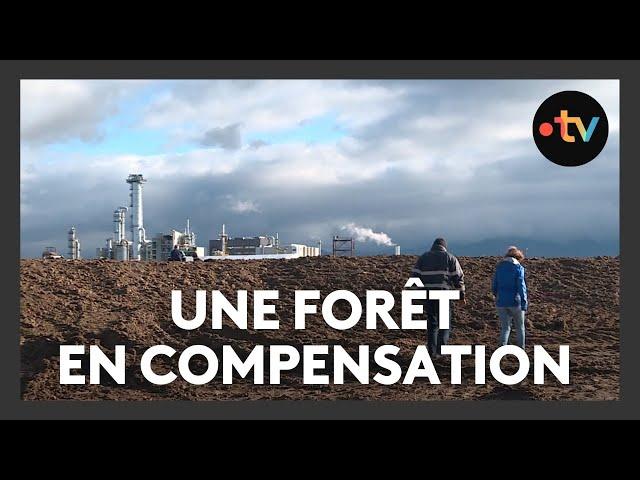 Ils plantent une forêt pour compensation environnementale