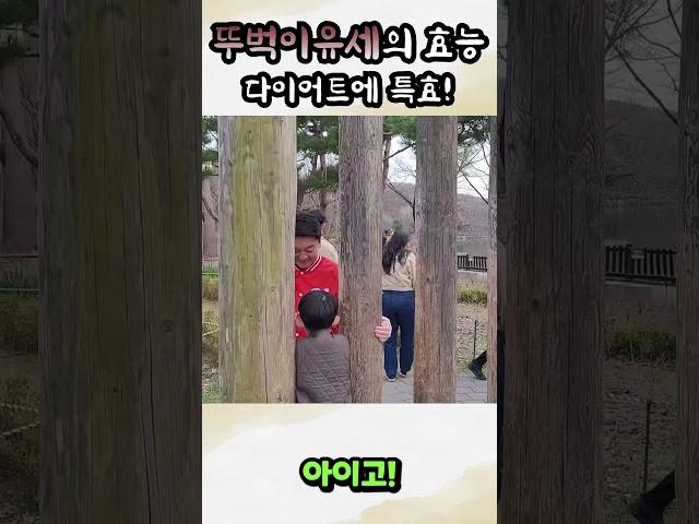 뚜벅이유세의 효능