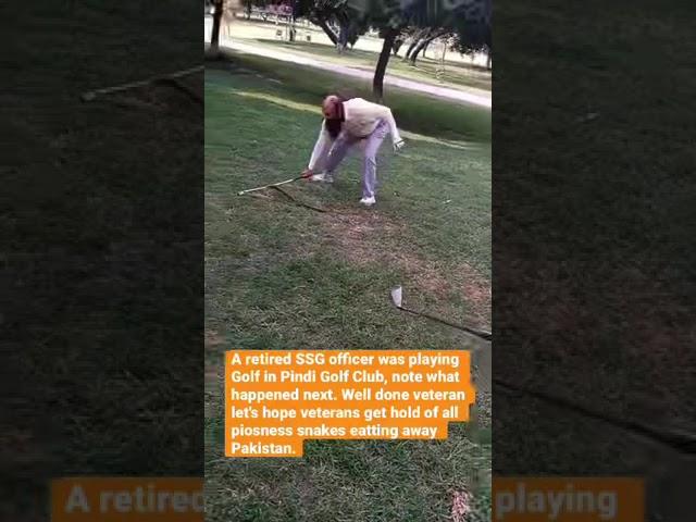 Poisonous snake at Pindi Golf Club.