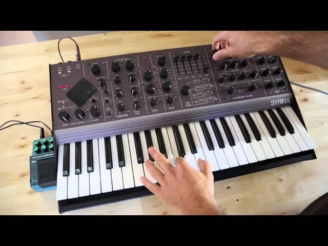 Synton Syrinx SN 1 Rare Purple Vintage Synthesizer Synth Demo#3 Ring Modulation & Filters