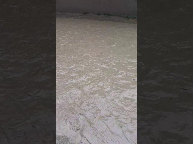 Сел Дар Деҳаи Сурх