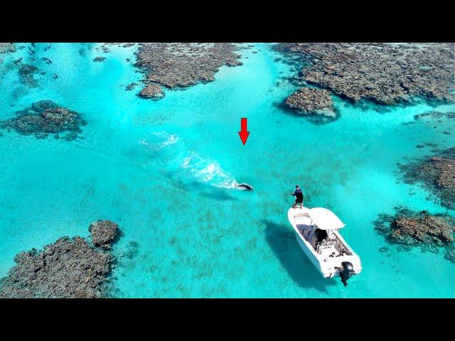 Great Barrier Reef Fishing in 1 foot of water!