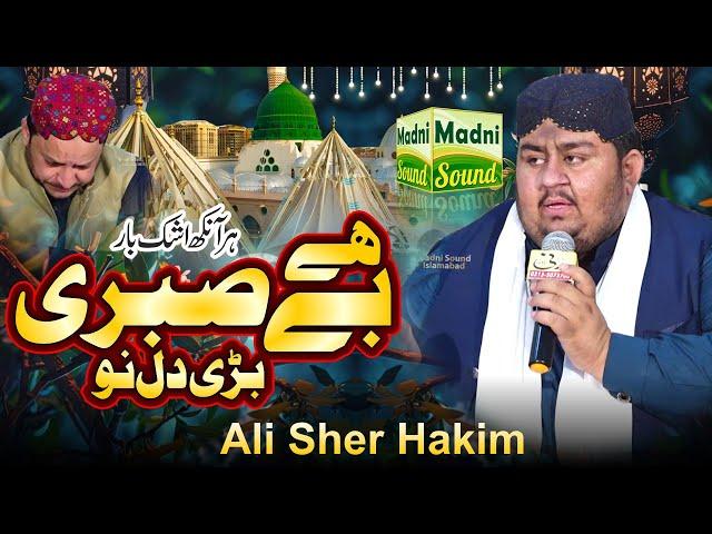 Hai Be Sabri Bari Dil Nu || Ali Sher Hakim || Madni Digital Sound Islamabad || 0313-5073700