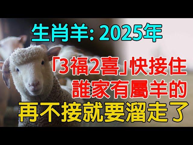 生肖羊：2025年 誰家有屬羊的「3福2喜」快接住！ 再不接就要溜走了!【佛語】#運勢 #風水 #佛教 #生肖 #佛語