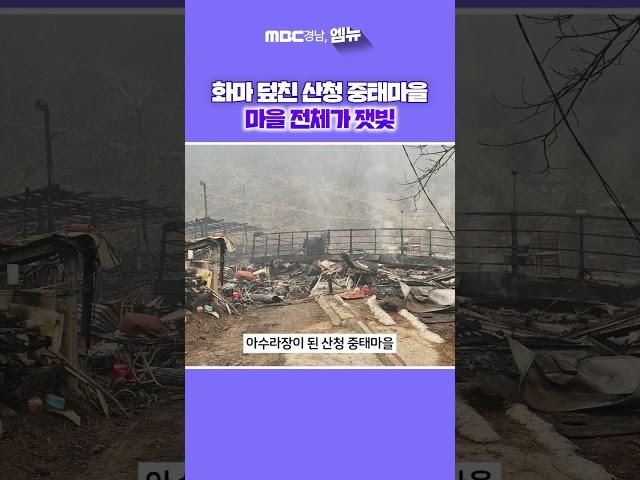 산청 대형산불 민가 덮쳤다.. 마을 전체가 잿빛