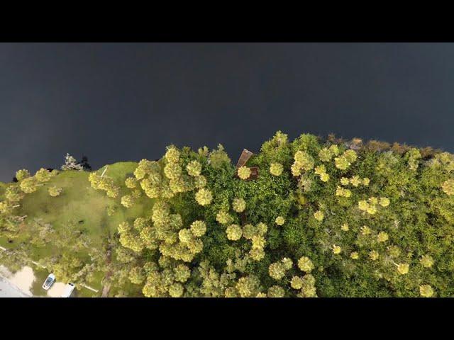 Goin’ Down