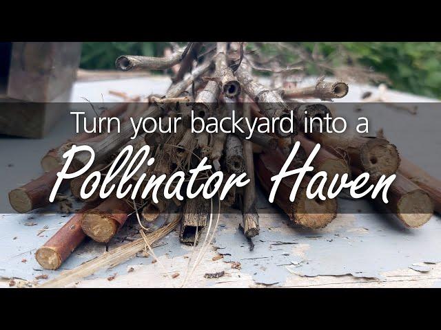 Creating a Pollinator Friendly Habitat