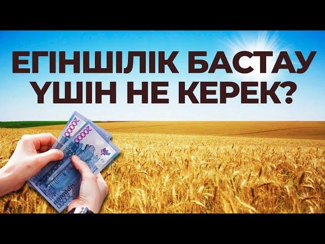 Егіншілік БИЗНЕСІ | БИЗНЕС ТАЛҚЫ | ЕГІНШІЛІК БАСТАУ ҮШІН