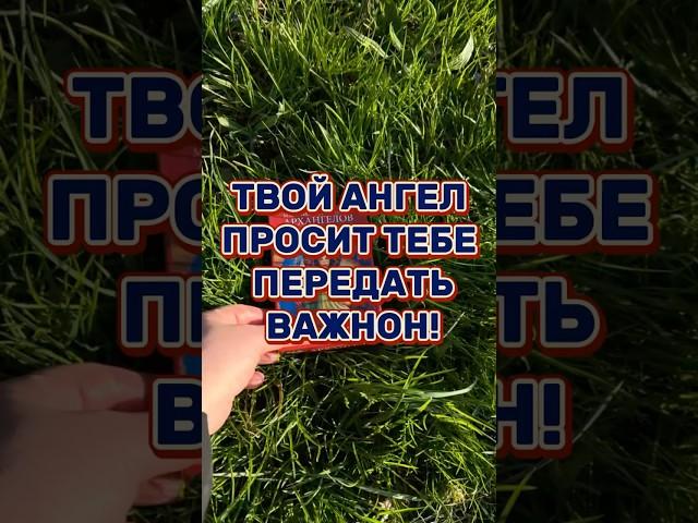 ТВОЙ АНГЕЛ ПРОСИТ ТЕБЕ ПЕРЕДАТЬ ВАЖНОЕ ПОСЛАНИЕ !!! # таро #tarot #обучениетаро #эзотерика