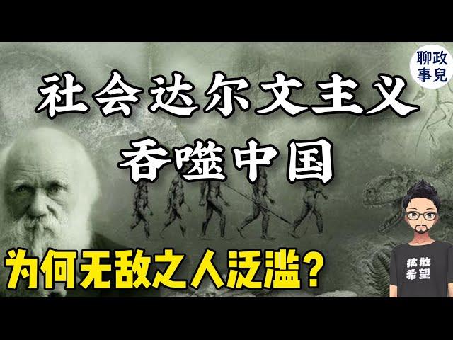 为何无敌之人泛滥中国？！万恶之源是社会达尔文主义？中国政府为何妖魔化平权运动? | 落后就要挨打 | LGBT | 女权