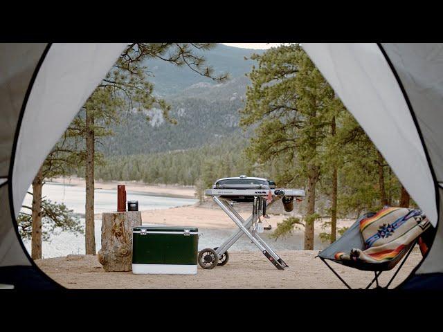 Weber Traveler Grill | An Introduction