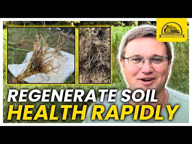 Cover Crops: Best Way to Regenerate Soil Health Quickly