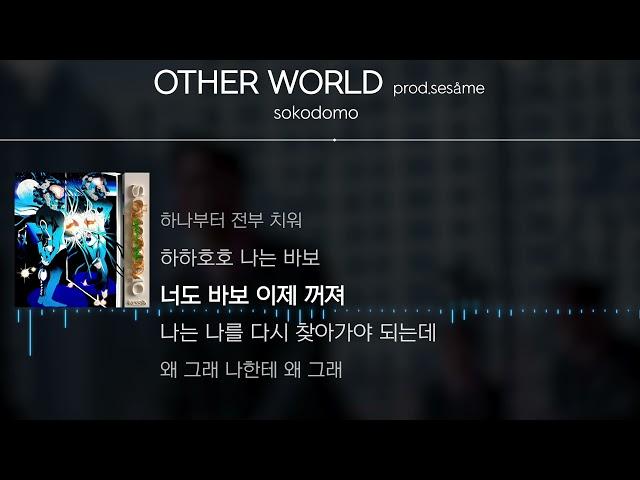 sokodomo - OTHER WORLD (prod.sesåme) [Lyrics / 가사]