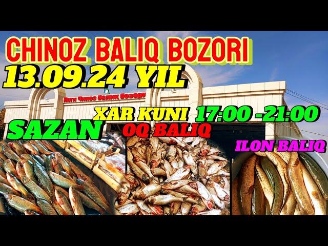 BALIQNI ZOʻRLARI SOTILADI CHINOZ BALIQ BOZORIDA 