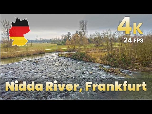 Morning Walk Along the Nidda River, Frankfurt | 4K 60fps | Countryside & Nature Views