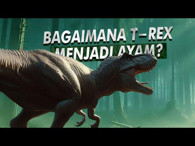 Benarkah Ayam Adalah Keturuan T-Rex? | Hubungan T-Rex & Ayam