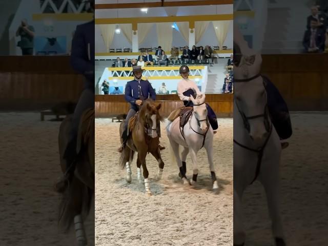 Side Saddle Elegance Like You’ve Never Seen Mimi & Miguel Fonseca #horseshow #sidesaddle #horse