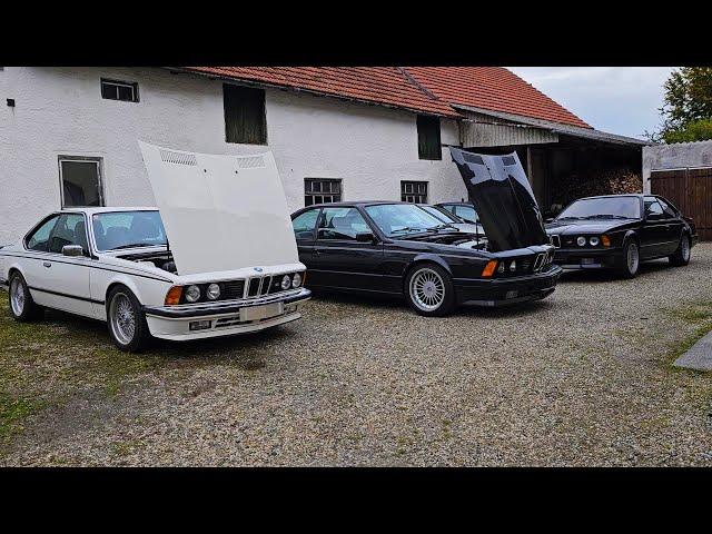 Eine Sharknose für Nicolas. Sein Traum geht in Erfüllung: Einer der letzten BMW E24 635 CSi für ihn