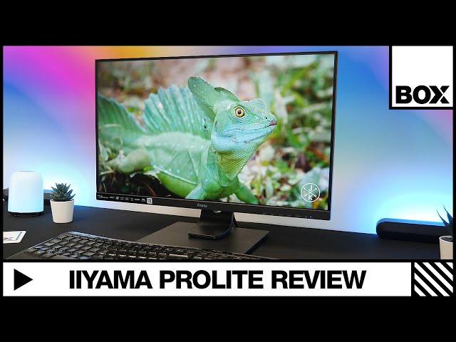 Iiyama Prolite XUB2492HSN-B1 24'' USB-C Docking Monitor Review!