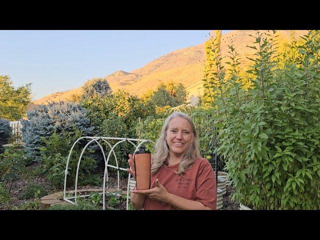 Thirsty Earth Automatic Olla Watering System End of Year Review