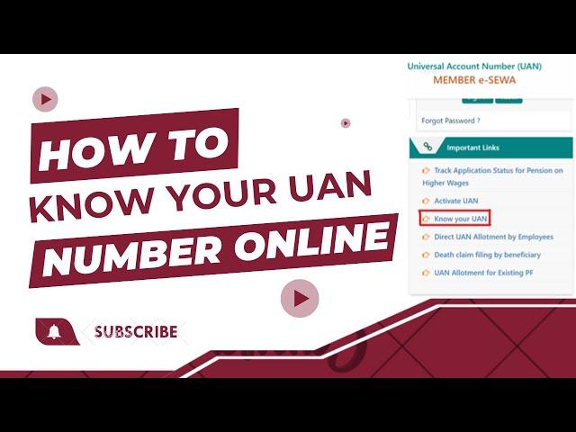 How to know your UAN number online 2024