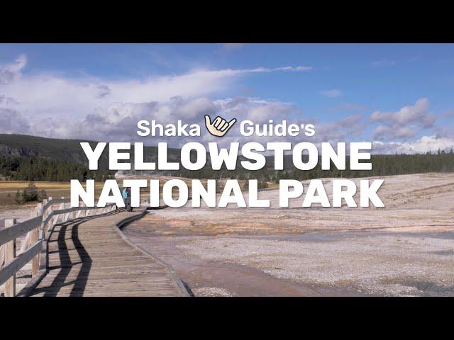 Tour Yellowstone National Park with Shaka Guide