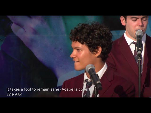 It Takes A Fool To Remain Sane || Acapella by Omar Rudberg (Young Royals)