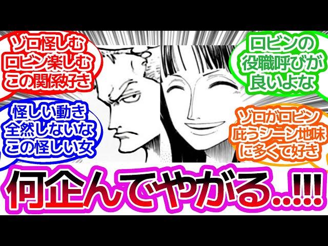 「空島辺りのゾロとロビンの距離感」に対するみんなの反応集【ワンピース反応集】