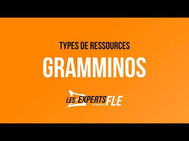 Types de ressources FLE : les Grammino