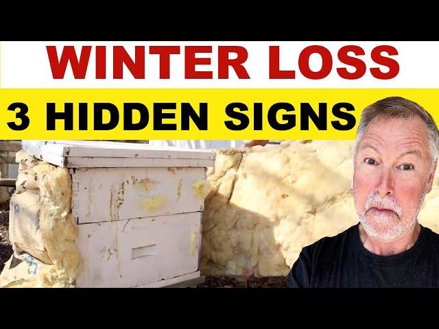 Beekeeping Signs That Your Bees May Die This Winter! LOOK 