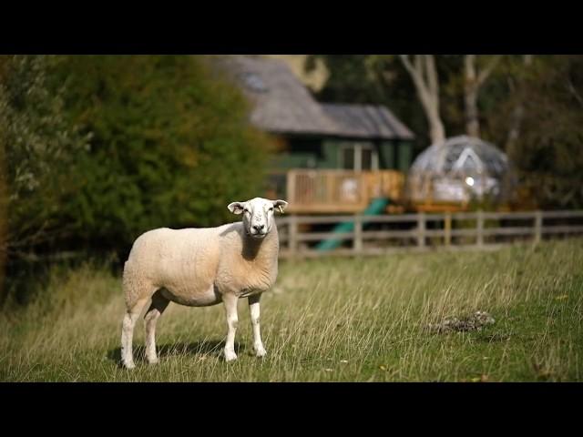 Bob's Tree Lodge | Quality Unearthed | Warwickshire | England