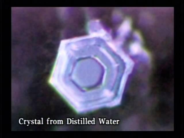 Messages From Water- Full Film  | Masaru Emoto | The GOYS Life