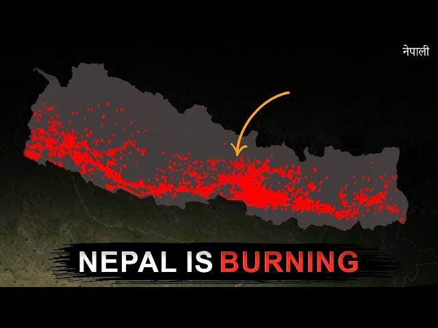 Forest Fire is destroying Nepal ( and why no one Cares)