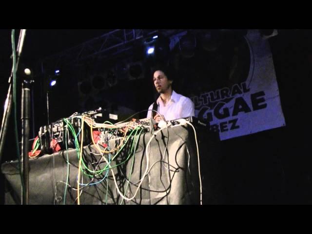 Cultural Reggae Vibez 2012