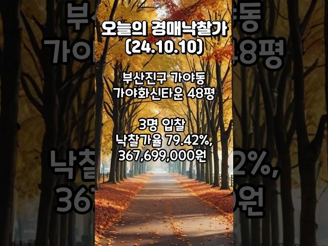 [오늘의 경매낙찰가]2024.10.10 #부산부동산 #부산경매 #부산아파트