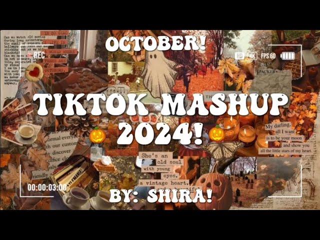 Tiktok Mashup 2024! 