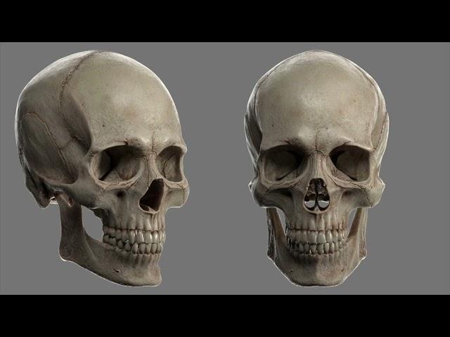 || SKULL RESTORATION || THE PERFECT SKULL! MORPHIC FIELD