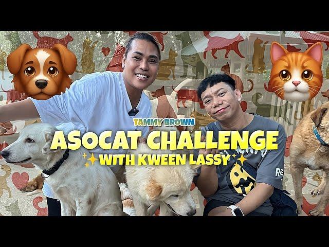 ASOCAT CHALLENGE WITH KWEEN LASSY | TAMMY BROWN