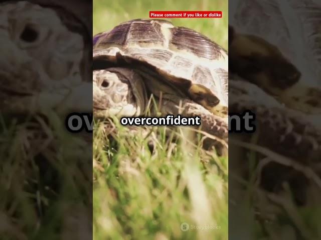 The Hare and the Tortoise: A Timeless Moral Tale of Perseverance #HareAndTortois #Moral #ClassicTale