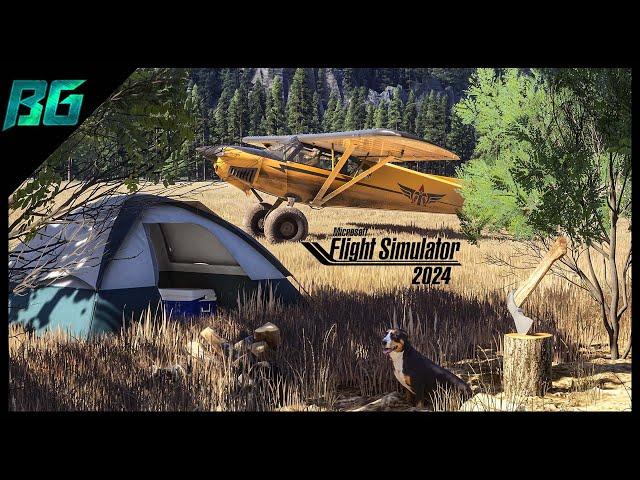 FLY-IN CAMP-OUT | MSFS 2024 Multiplayer