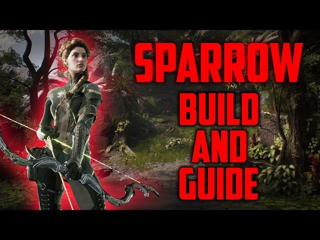 Paragon Sparrow Build & Guide - SEXY DESTRUCTION