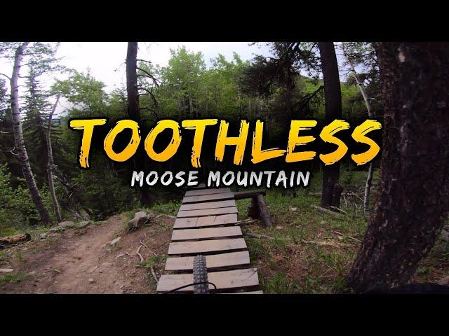 Toothless - Moose Mountain, Alberta