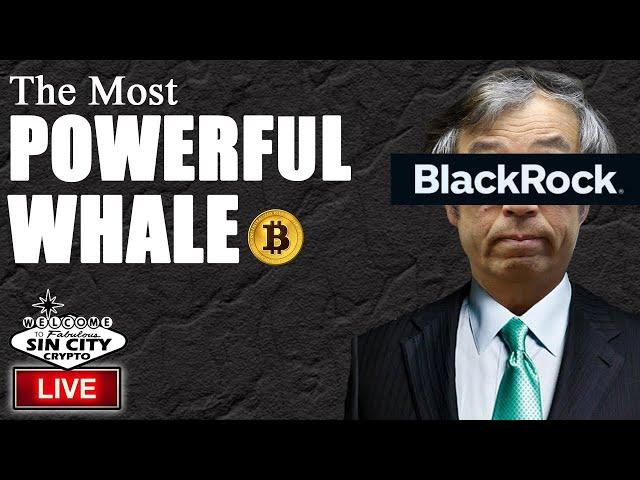 Bitcoin Takeover: Is Blackrock the End of Bitcoin As We Know It?