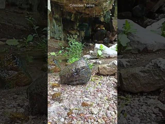 Bayacora en tiempo de aguas