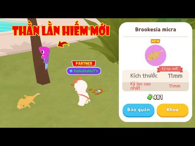 (Play Together) Nhiều Thằn Lằn Hiếm "Rất Lì Lợm" Và Khó Bắt "Săn Full Từ Điển"