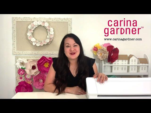 Carina Gardner Silhouette Video Tutorials